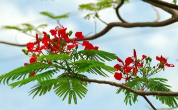 Đừng đánh giá thấp bản thân